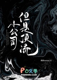 С��˾�����Ƕ���