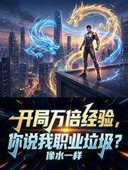 �����򱶾��飬��˵��ְҵ������