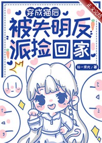 ����è�󣬱�ʧ�����ɼ�ؼ�