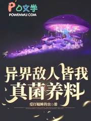 �����˽����������